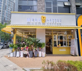 【서울 강북구 메가커피 】☆ 홀매출 95％수익성 특급★초보창업／여성창업／주부창업