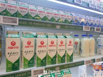 사진 4